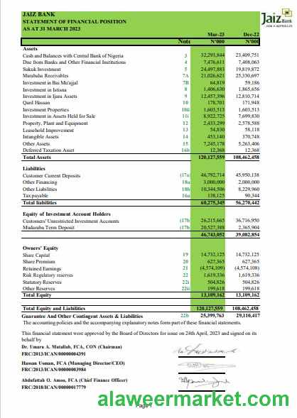 Nigeria Jaiz bank statement Word and PDF template